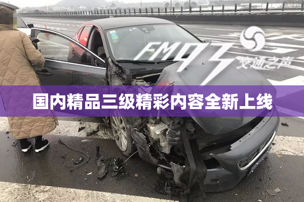 国内精品三级精彩内容全新上线