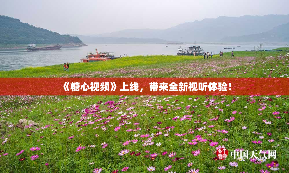 《糖心视频》上线，带来全新视听体验！