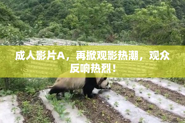 成人影片A，再掀观影热潮，观众反响热烈！