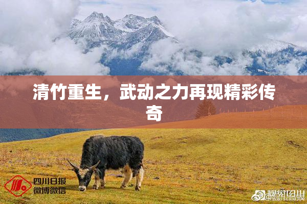 清竹重生，武动之力再现精彩传奇