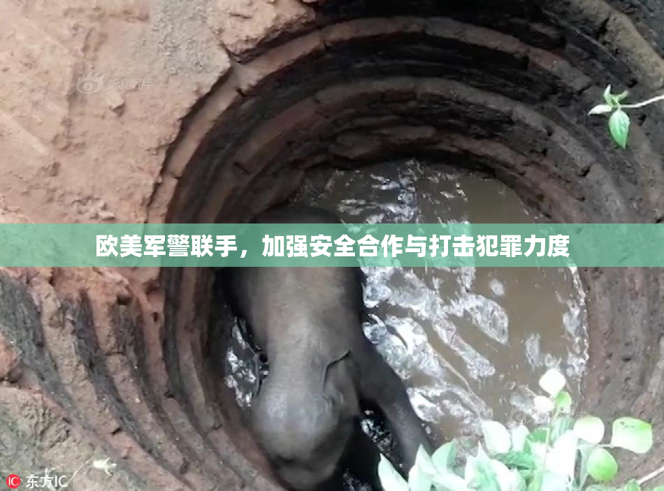 欧美军警联手，加强安全合作与打击犯罪力度