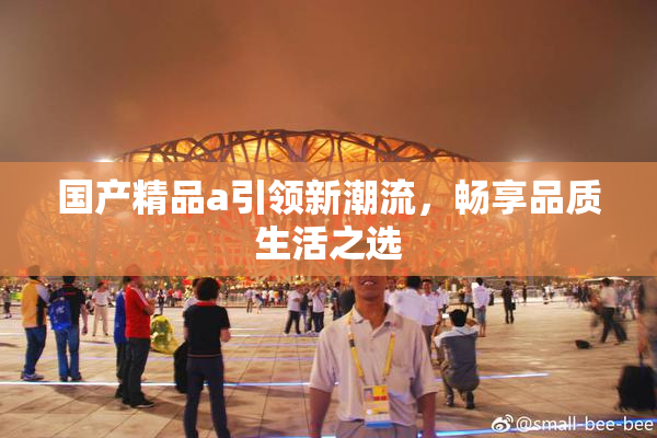 国产精品a引领新潮流，畅享品质生活之选