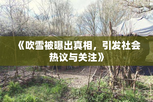 《吹雪被曝出真相，引发社会热议与关注》