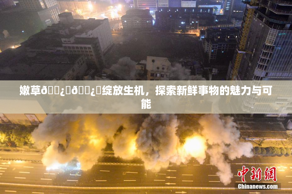 嫩草🌿‌🌿‌绽放生机，探索新鲜事物的魅力与可能