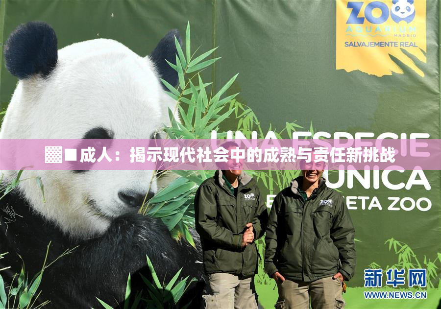 ▓■成人：揭示现代社会中的成熟与责任新挑战