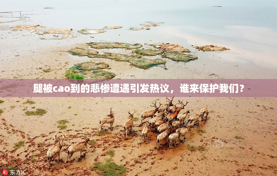 腿被cao到的悲惨遭遇引发热议，谁来保护我们？