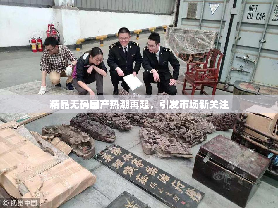 精品无码国产热潮再起，引发市场新关注