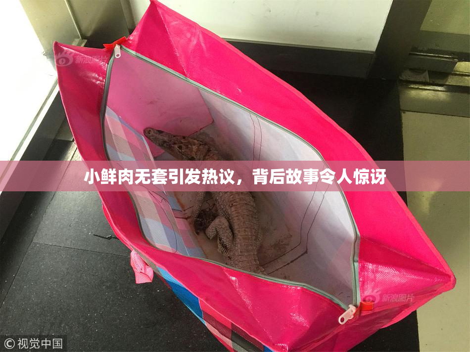 小鲜肉无套引发热议，背后故事令人惊讶