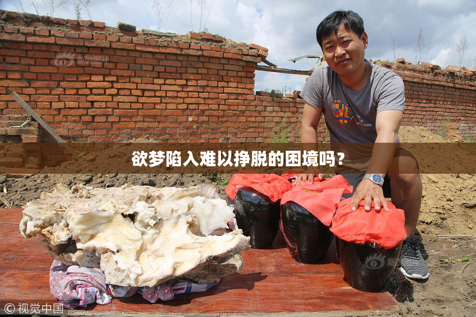 欲梦陷入难以挣脱的困境吗？