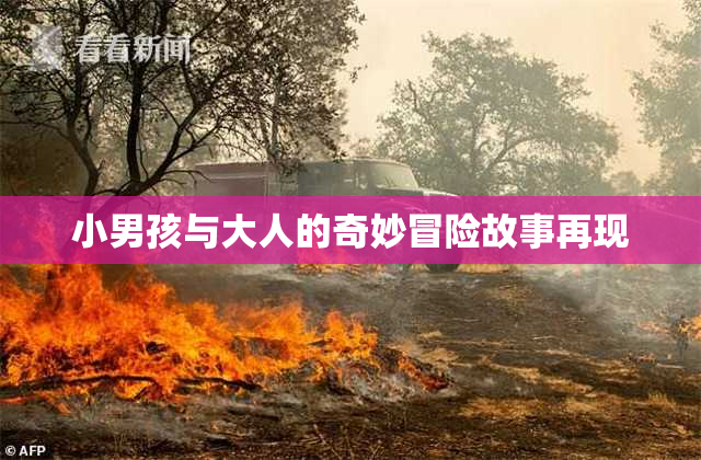 小男孩与大人的奇妙冒险故事再现