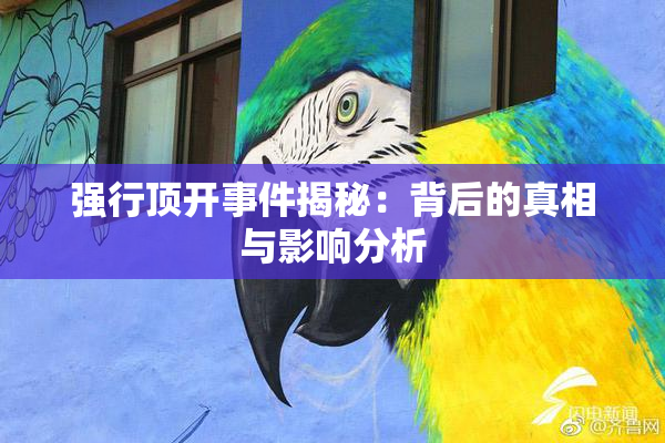 强行顶开事件揭秘：背后的真相与影响分析