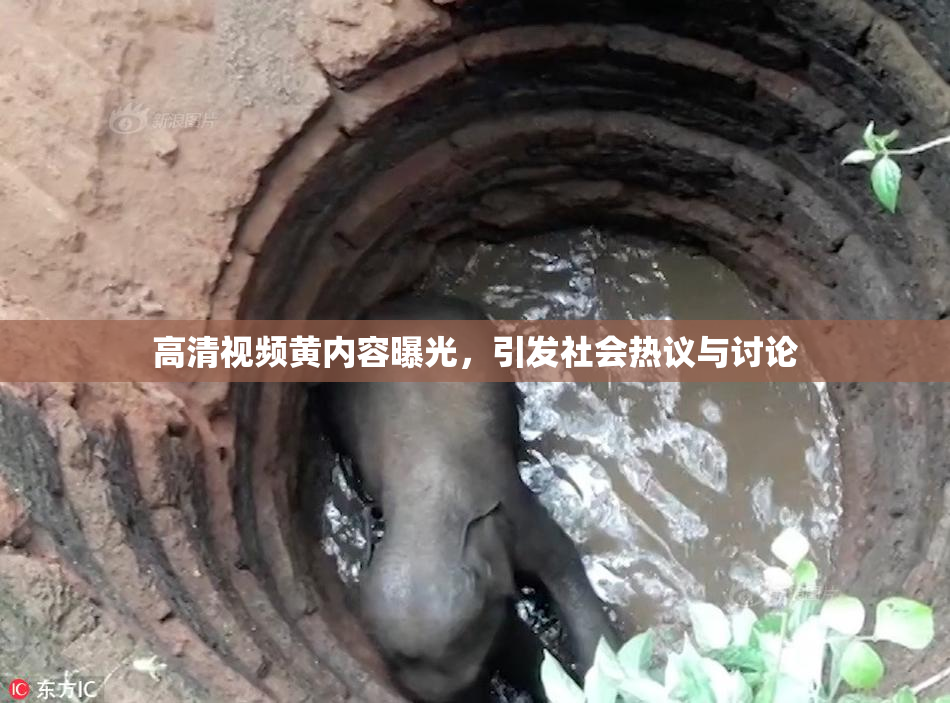 高清视频黄内容曝光，引发社会热议与讨论