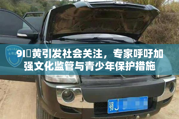 9I婬黄引发社会关注，专家呼吁加强文化监管与青少年保护措施