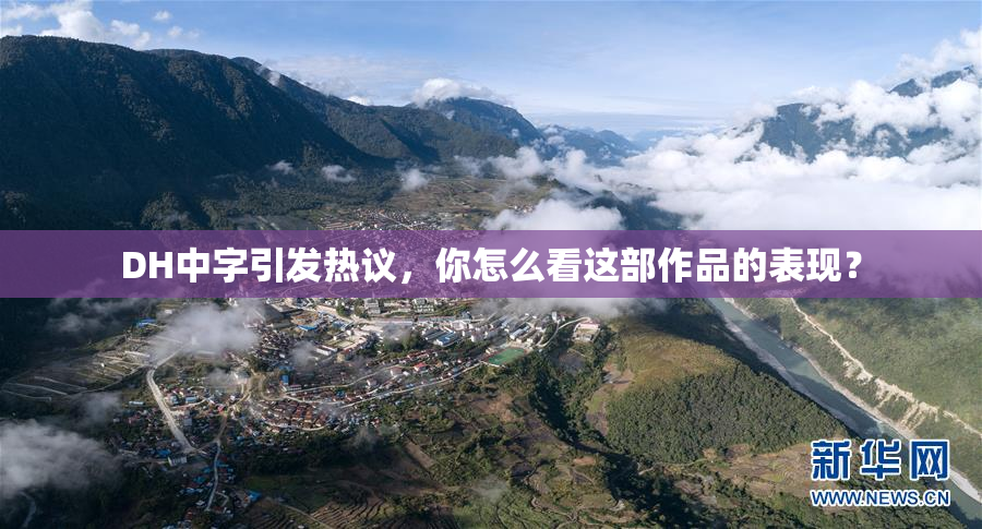 DH中字引发热议，你怎么看这部作品的表现？
