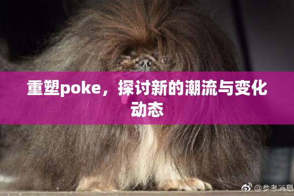 重塑poke，探讨新的潮流与变化动态