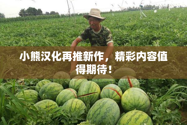 小熊汉化再推新作，精彩内容值得期待！