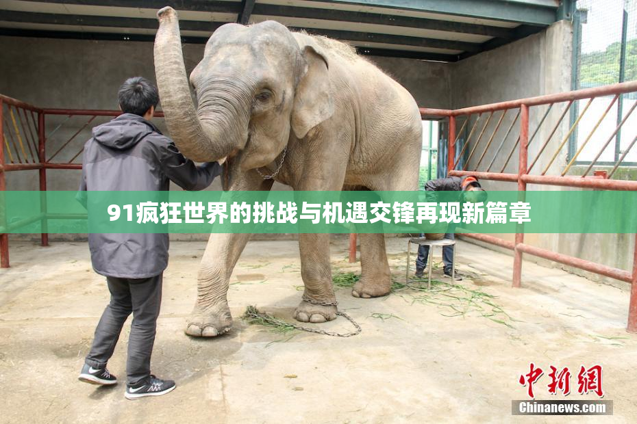 91疯狂世界的挑战与机遇交锋再现新篇章
