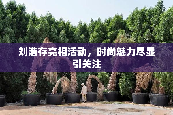 刘浩存亮相活动，时尚魅力尽显引关注
