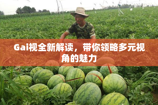Gai视全新解读，带你领略多元视角的魅力