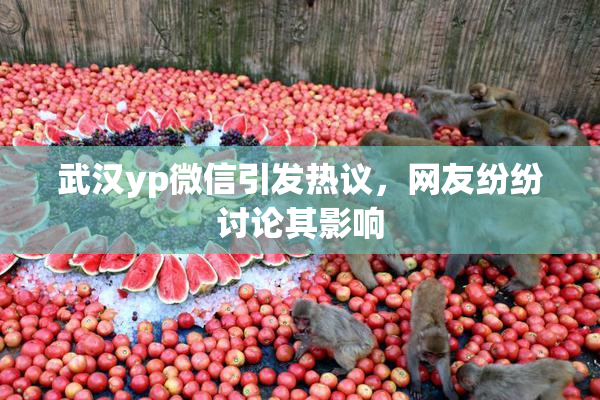 武汉yp微信引发热议，网友纷纷讨论其影响
