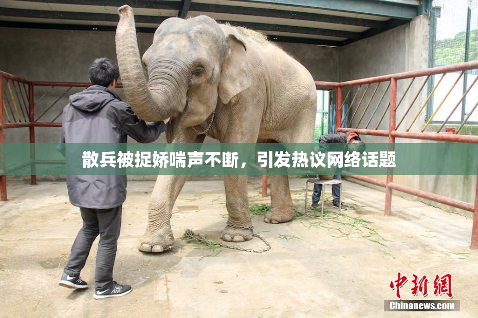 散兵被捉娇喘声不断，引发热议网络话题