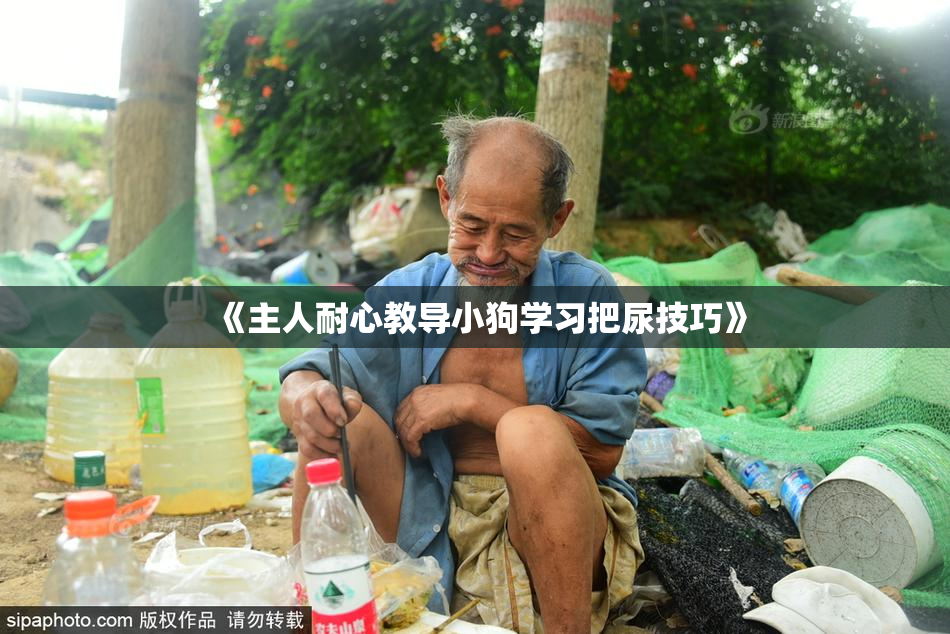《主人耐心教导小狗学习把尿技巧》