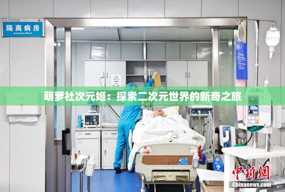 萌萝社次元姬：探索二次元世界的新奇之旅