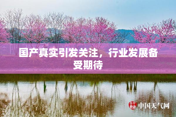国产真实引发关注，行业发展备受期待