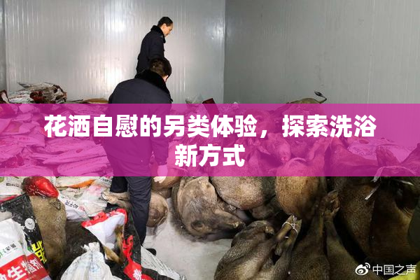 花洒自慰的另类体验，探索洗浴新方式