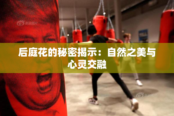 后庭花的秘密揭示：自然之美与心灵交融