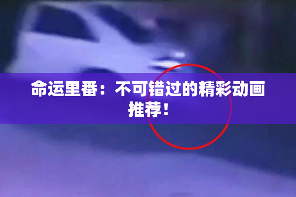 命运里番：不可错过的精彩动画推荐！