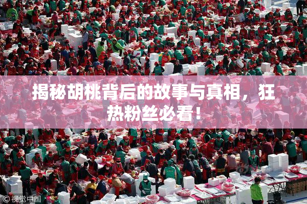 揭秘胡桃背后的故事与真相，狂热粉丝必看！