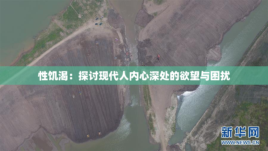性饥渴：探讨现代人内心深处的欲望与困扰