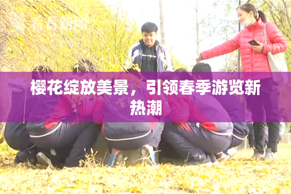 樱花绽放美景，引领春季游览新热潮