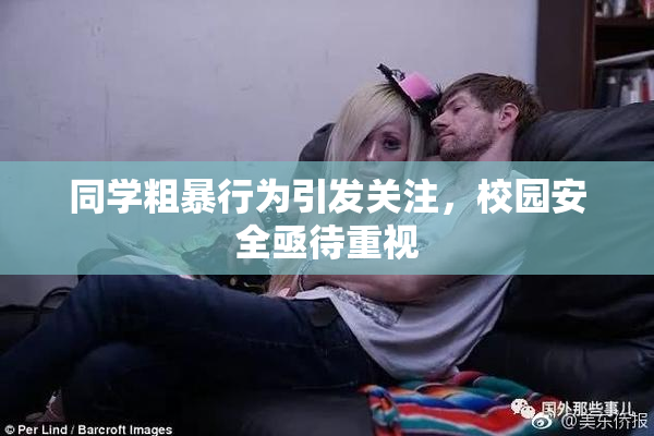 同学粗暴行为引发关注，校园安全亟待重视