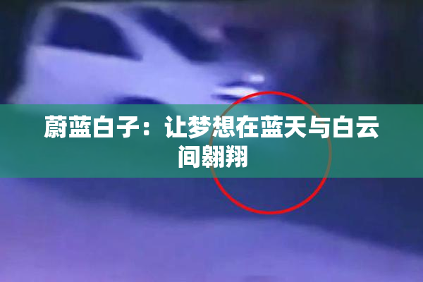 蔚蓝白子：让梦想在蓝天与白云间翱翔