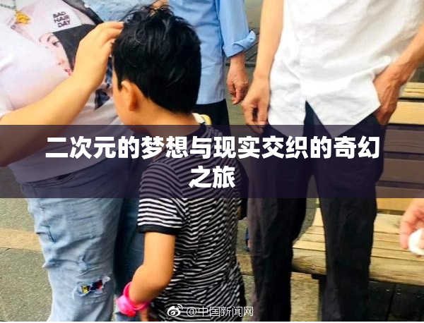 二次元的梦想与现实交织的奇幻之旅