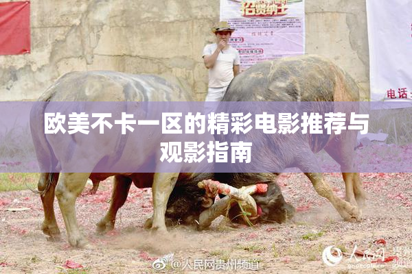 欧美不卡一区的精彩电影推荐与观影指南