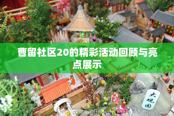 曹留社区20的精彩活动回顾与亮点展示