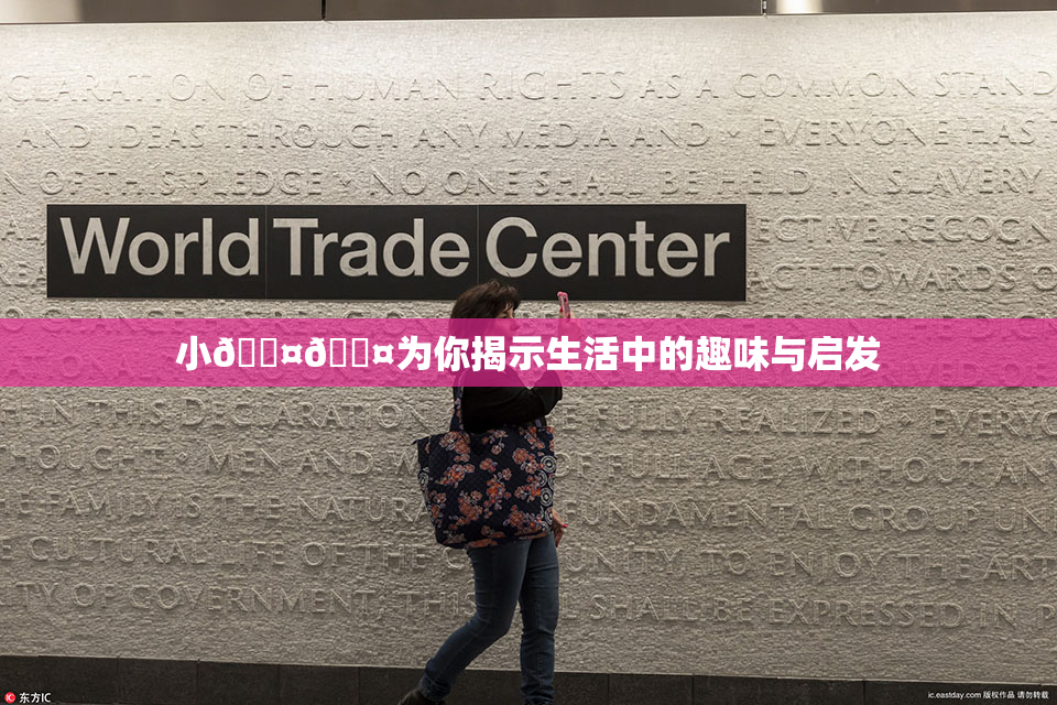 小🐤🐤为你揭示生活中的趣味与启发