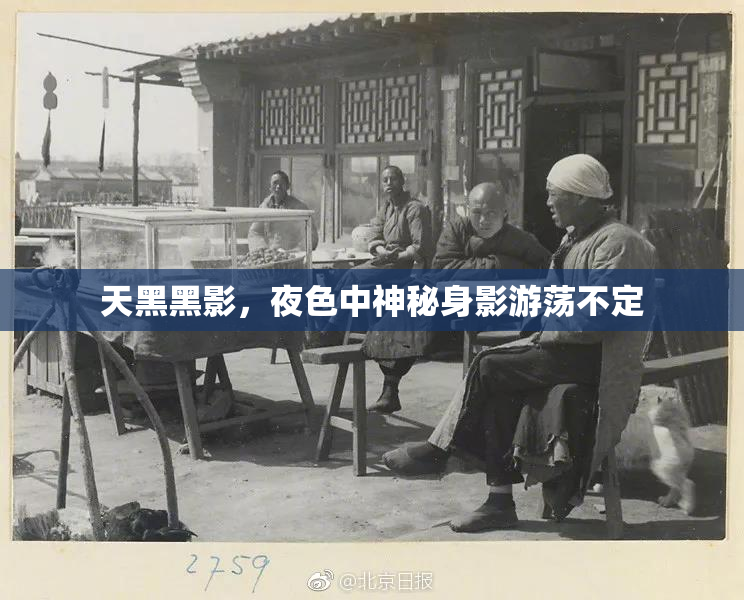 天黑黑影，夜色中神秘身影游荡不定