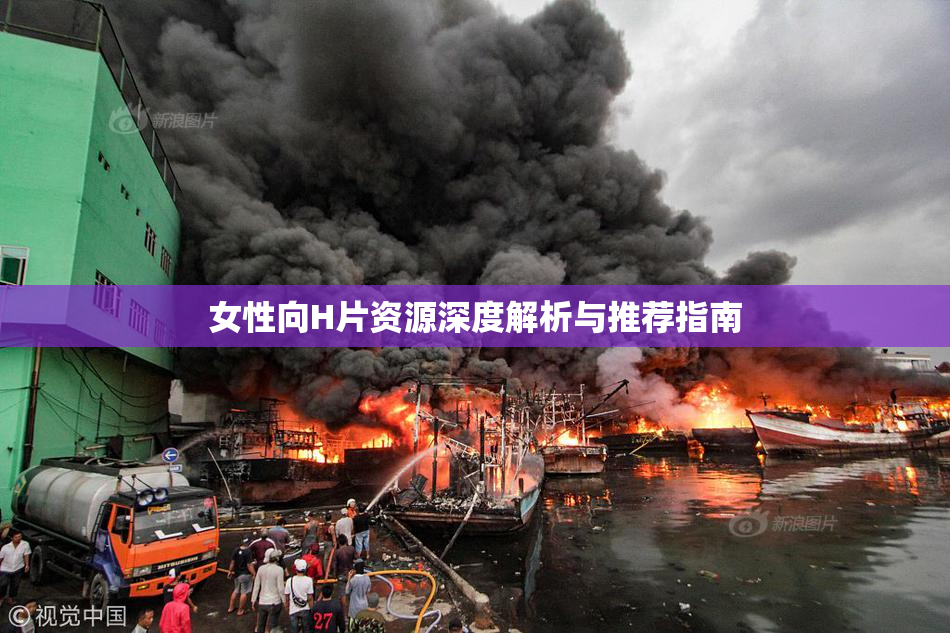 女性向H片资源深度解析与推荐指南