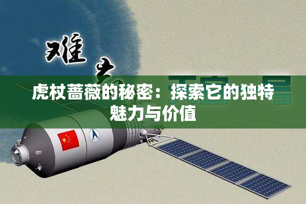 虎杖蔷薇的秘密：探索它的独特魅力与价值