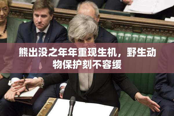 熊出没之年年重现生机，野生动物保护刻不容缓