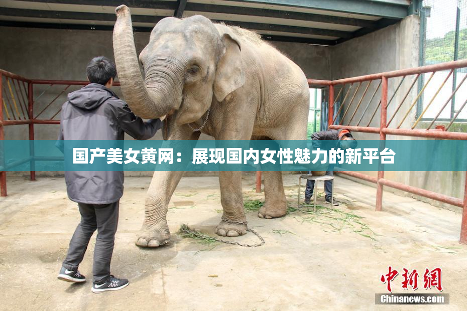 国产美女黄网：展现国内女性魅力的新平台