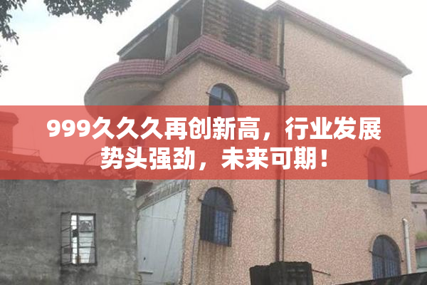 999久久久再创新高，行业发展势头强劲，未来可期！