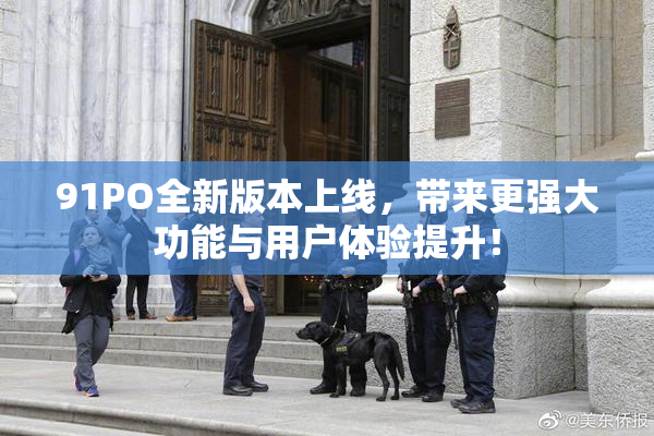 91PO全新版本上线，带来更强大功能与用户体验提升！