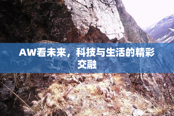 AW看未来，科技与生活的精彩交融