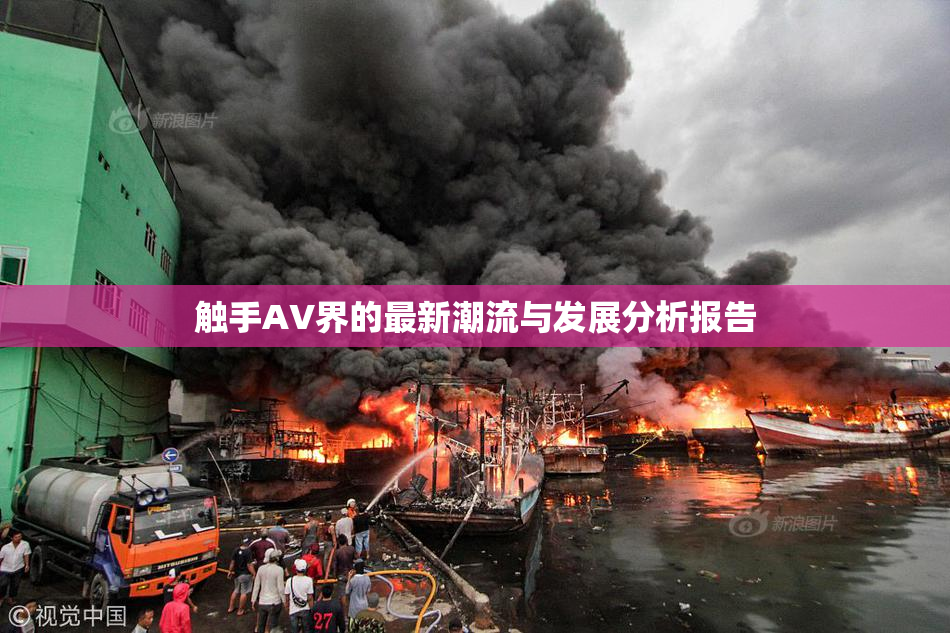 触手AV界的最新潮流与发展分析报告