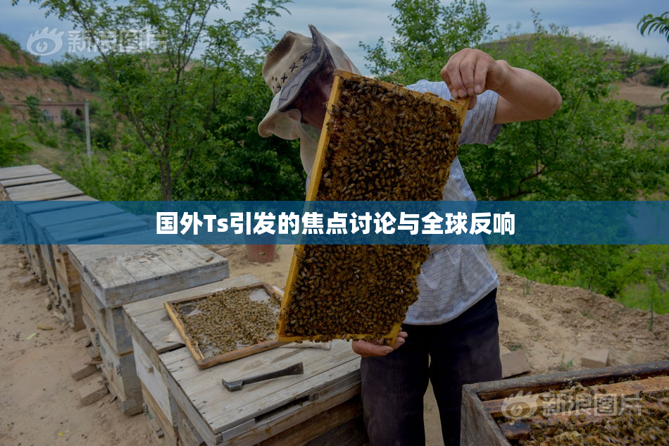 国外Ts引发的焦点讨论与全球反响